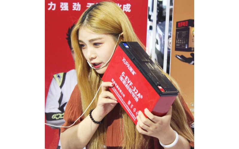 2017年第6屆山東國際節能與新能源汽車展